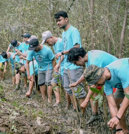 TANJUNG LESUNG SHORE RESTORATION