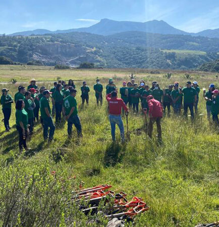 MEXICO CITY REFORESTATION